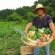 【信州伝統野菜セット】
