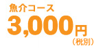 3,000円（税込3,150円）