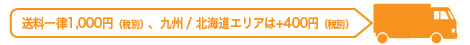 送料650円（税込）